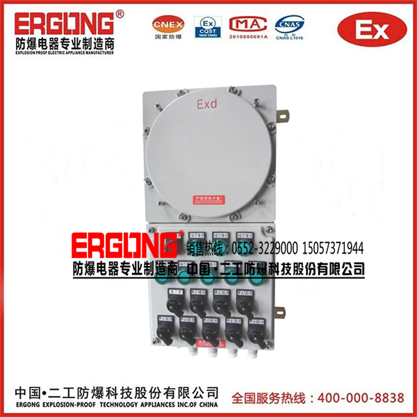 IIC防爆配電箱危險(xiǎn)場(chǎng)所專用
