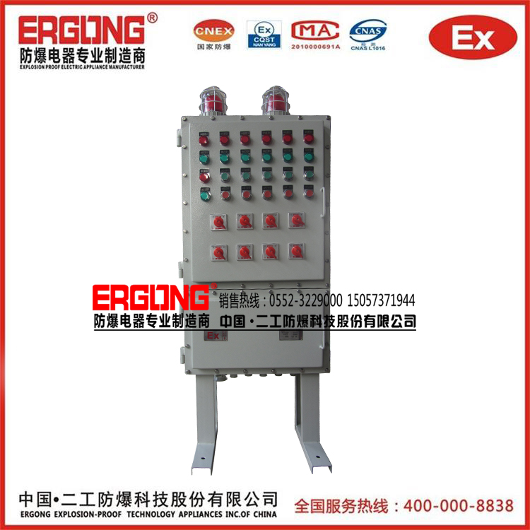 防爆控制柜（防護(hù)等級(jí)IP65）