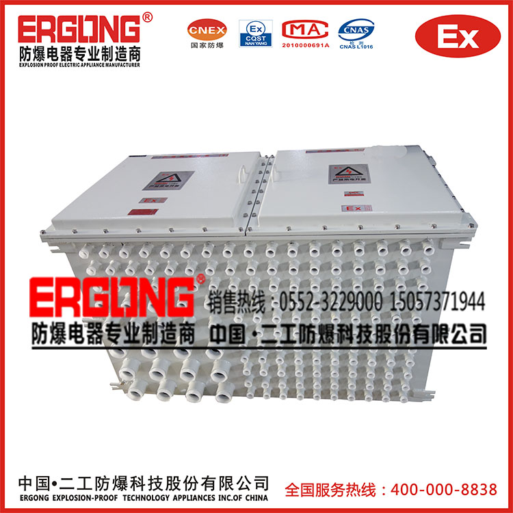 造型獨特的防爆配電柜按要求定制