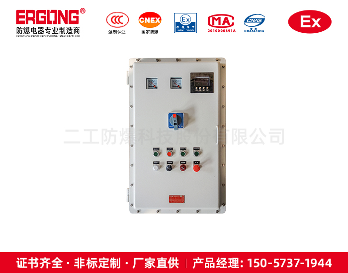 碳鋼配電箱化工石油危險(xiǎn)場(chǎng)所適用