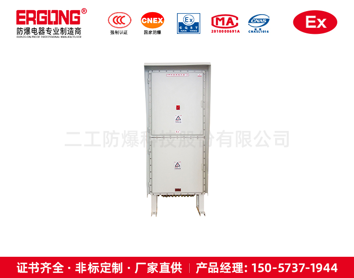 雙隔爆箱體上下結(jié)構控制箱